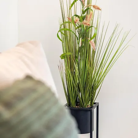 Romantic View * Сплит