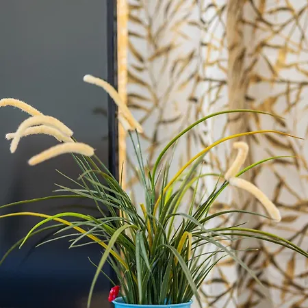 Romantic View Апартаменты