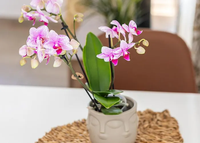 Romantic View Appartement *