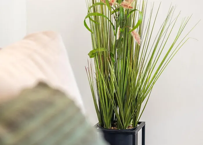 Romantic View * Split